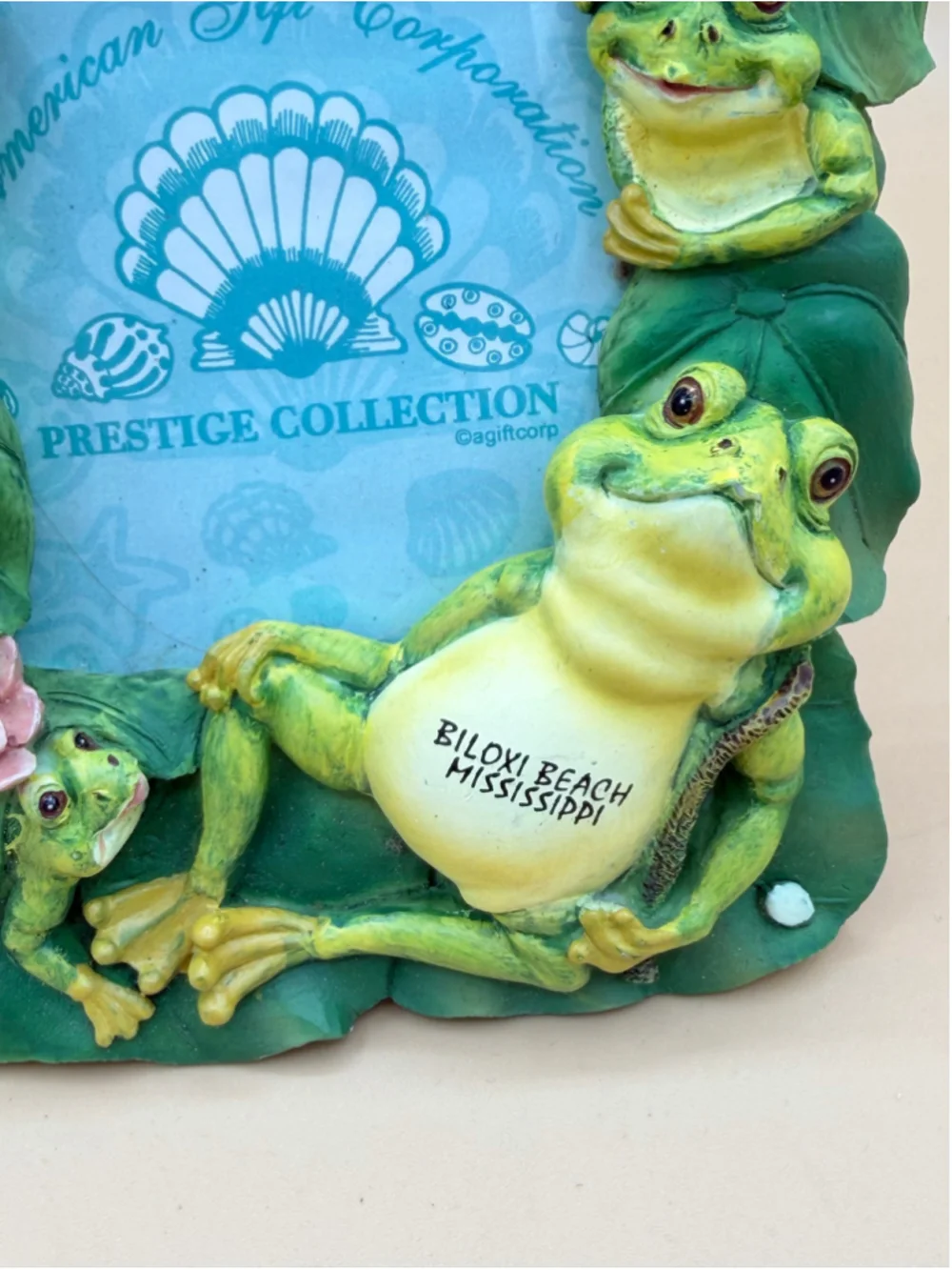 American Gift Corp Prestige Collection Biloxi Beach Frog Lily Pad Photo Frame